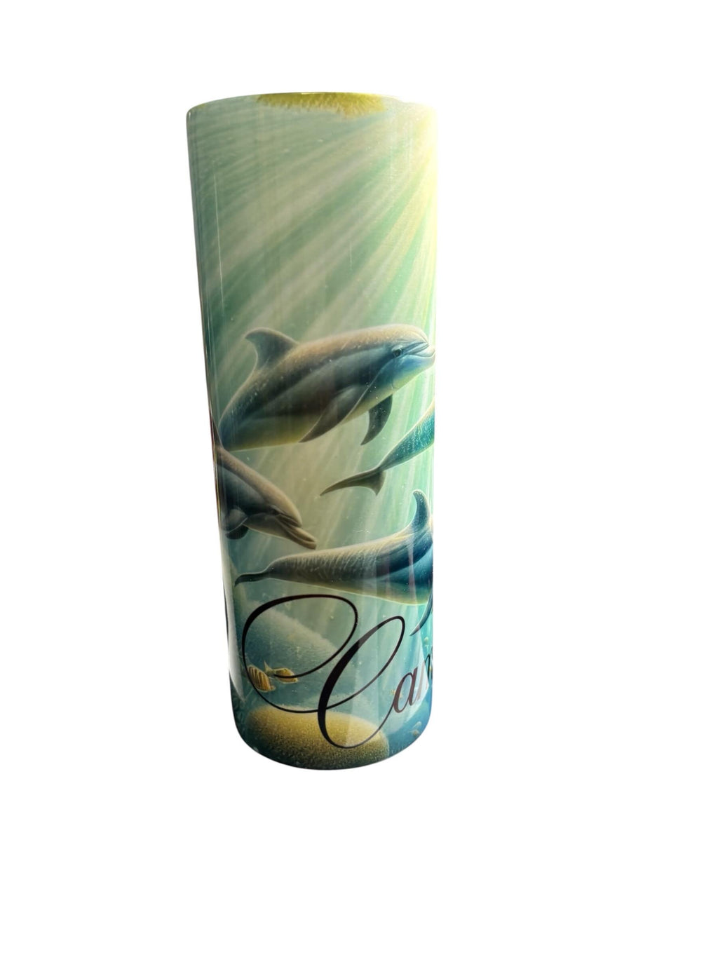 Dolphins Swimming Underwater Tumbler – Ocean Sea Life Drinkware, Stainless Steel Insulated Mug